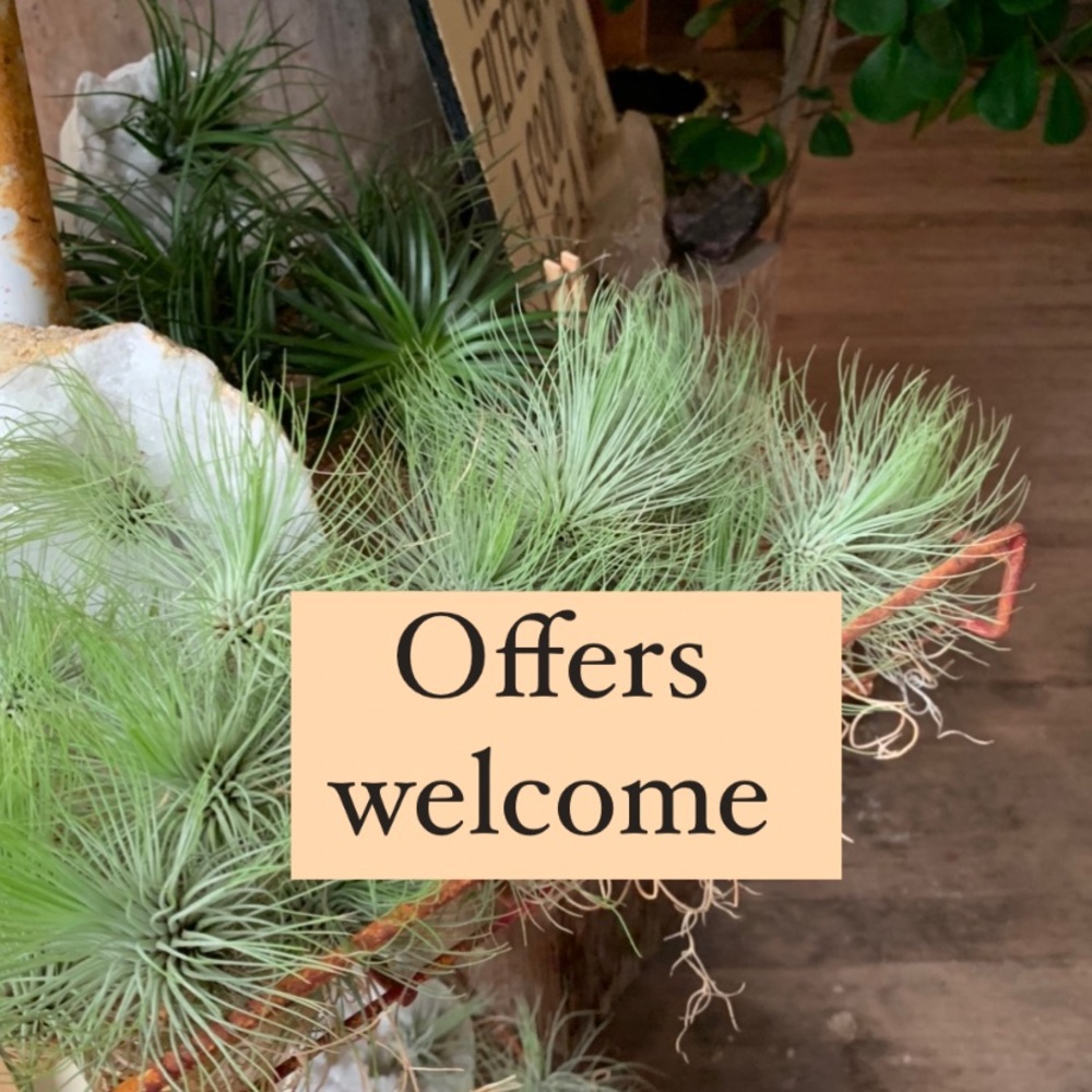 Offers are  welcome! Happy Poshing 2021 style.